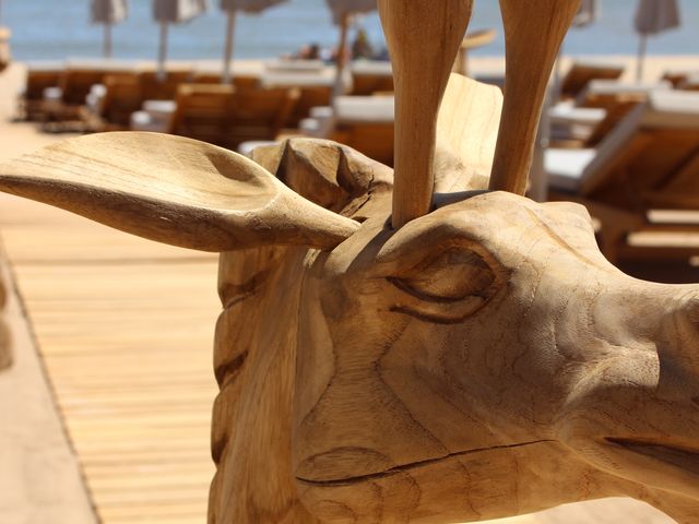 Zanzibar Restaurant - Saint-Aygulf 